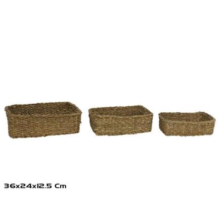 CESTA X3 KAISER RECT ALGA MARINA 36X24X12 CM