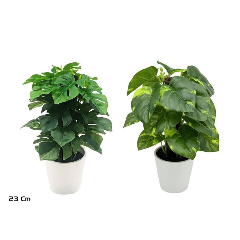 MACETA POTUS - MONS COCO X 24-23 CM (S)