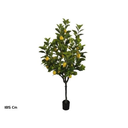 ARBOL LIMONERO X 26F 185 CM
