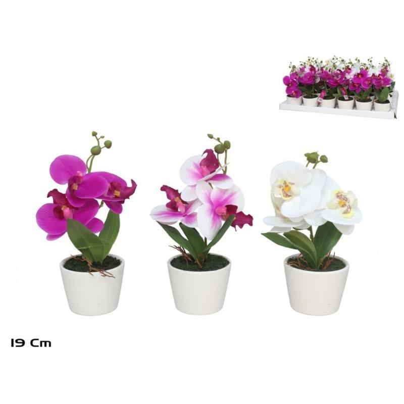 MACETA ORQUIDEAS X3 R/TOUCH 19 CM (S)