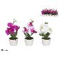 MACETA ORQUIDEAS X3 R/TOUCH 19 CM (S)