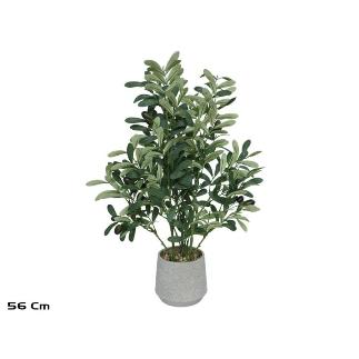MACETA OLIVO 56 CM