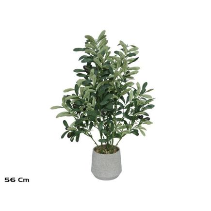 MACETA OLIVO 56 CM