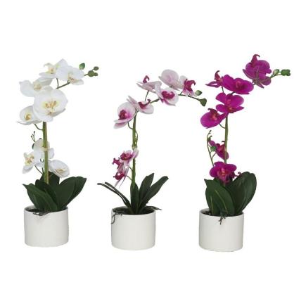 MACETA (B) ORQUIDEAS X9 R/T-54 CM (S)