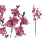 VARA ALMENDRO (A) 96 CM FUCSIA