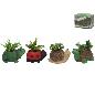 ANIMALES 4 SURT MACETA C/PLANTA 19X14X9/16 CM