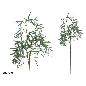 VARA SALIX X3 - 95 CM VERDE CLARO