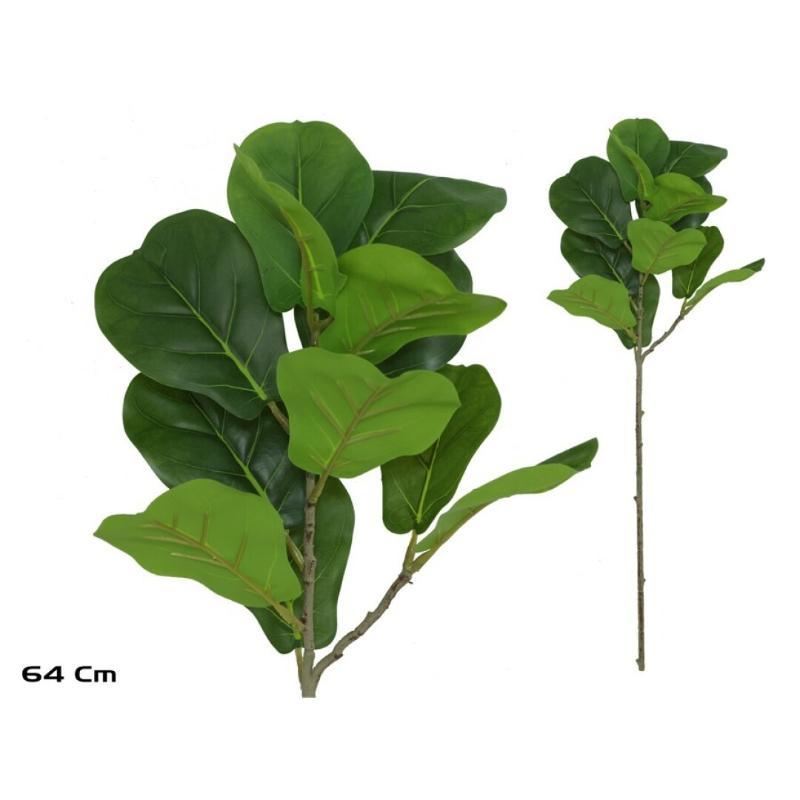 VARA FICUS LYRATA R/TOUCH X12-64 CM