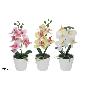 MACETA ORQUIDEAS X5 REAL TOUCH 28 CM (S)