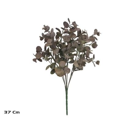RAMO EUCALIPTO X7- 37 CM MARRON