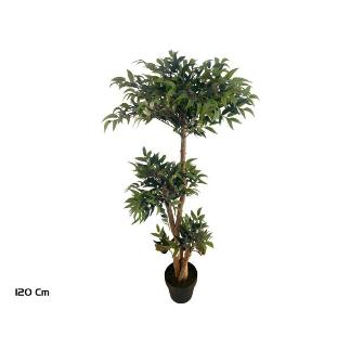 ARBOL RUSCUS TRONCO NATURAL X 1298 LVS 120 CM