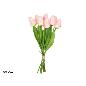 ATADO TULIPANES X8- 35 CM ROSA