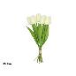 ATADO TULIPANES X8- 35 CM FUCSIA