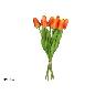 ATADO TULIPANES X8- 35 CM NARANJA