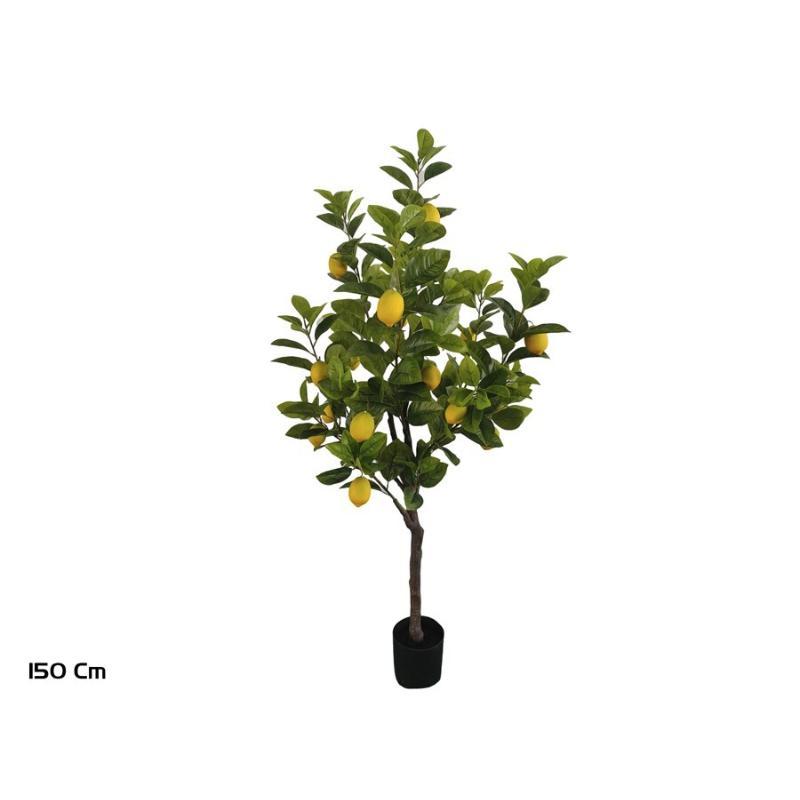 ARBOL LIMONERO X 18F - 150 CM