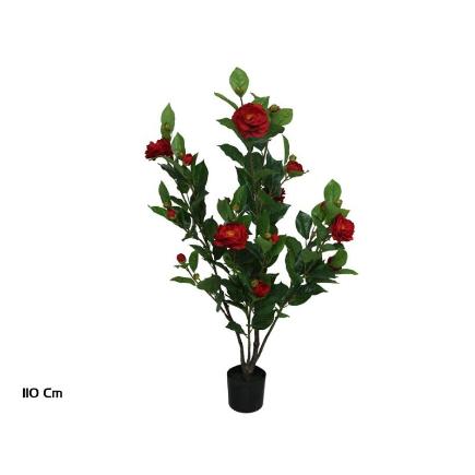 PLANTA CAMELIA 110 CM ROJO