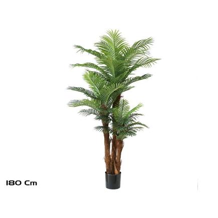 PLANTA PALMERA PHOENIX T/C X 3 180 CM