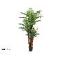 PLANTA PALMERA PHOENIX T/C X 3 180 CM