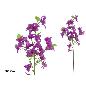 VARA BUGAMBILLA X3-82 CM VIOLETA