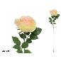 VARA ROSA MICROPEACH 68 CM TE