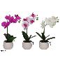 MACETA ORQUIDEAS X4 R/TOUCH 35 CM (S)