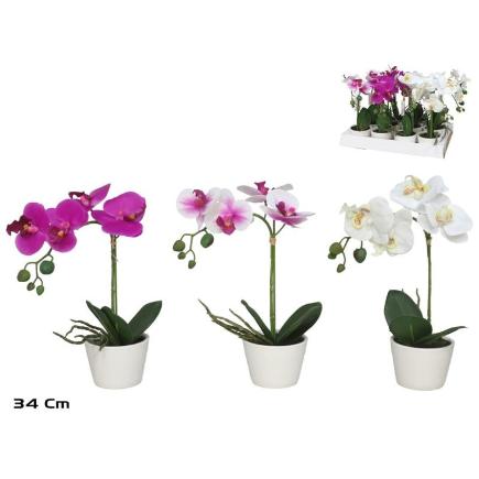 MACETA ORQUIDEAS (F) R/TOUCH 34 CM (S)