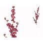 VARA PEACH BLOSSOM X4-100CM FUCSIA