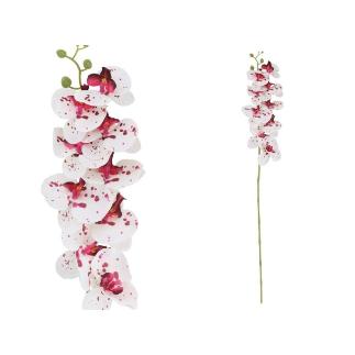 VARA ORQUIDEA X9 R/TOUCH 89 CM CREMA/FUCSIA