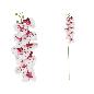 VARA ORQUIDEA X9 R/TOUCH 89 CM CREMA/FUCSIA