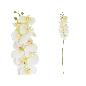 VARA ORQUIDEA X9 R/TOUCH 89 CM CREMA