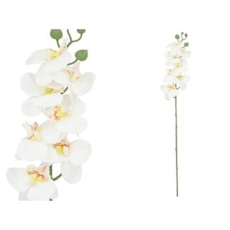 VARA ORQUIDEA X7 R/TOUCH 60 CM BLANCO