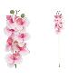 VARA ORQUIDEA X7 R/TOUCH 60 CM MALVA