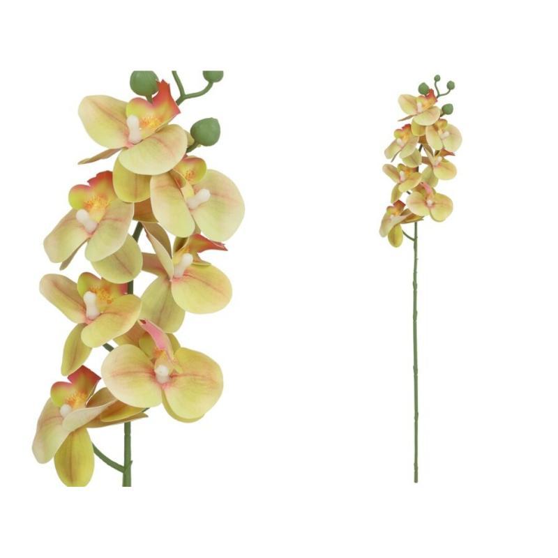 VARA ORQUIDEA X7 R/TOUCH 60 CM VERDE