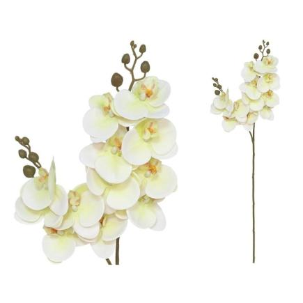 VARA ORQUIDEA X12 R/TOUCH-76 CM VERDE