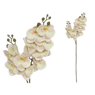 VARA ORQUIDEA X12 R/TOUCH-76 CM TE