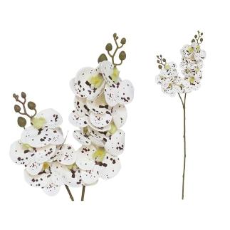 VARA ORQUIDEA X12 R/TOUCH-76 CM CREMA