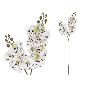 VARA ORQUIDEA X12 R/TOUCH-76 CM CREMA