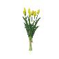 ATADO TULIPAN R/T X7 45 CM AMARILLO