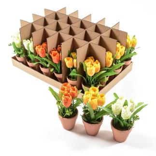 TULIPANES 12X12XH.19 CM COLORES SURT