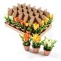 TULIPANES 12X12XH.19 CM COLORES SURT