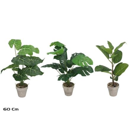 MACETA MONSTERA/CAL/FICUS 60 CM 3 SURT