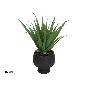 MACETA CERAMICA NEGRA ALOE 45 CM
