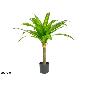 ARBOL DRACENA 90 CM