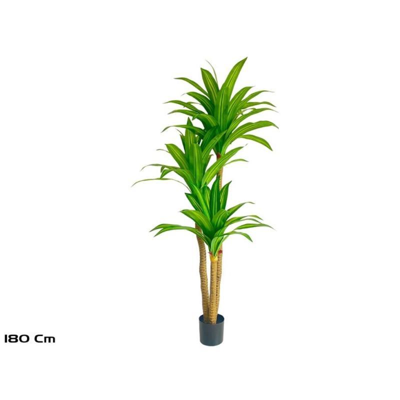 ARBOL DRACENA X3-180 CM