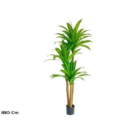 ARBOL DRACENA X3-180 CM