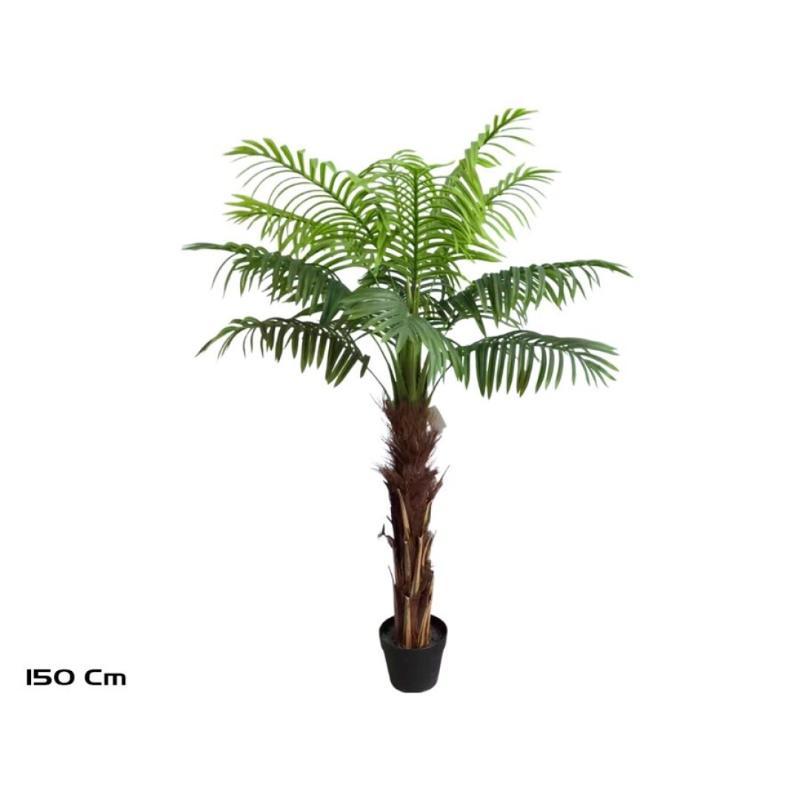 PLANTA PALMERA T/COCO X15 -150 CM