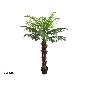 PLANTA PALMERA T/COCO X15 -150 CM