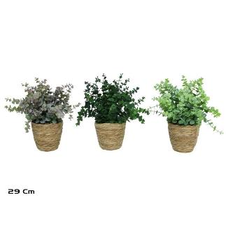 MACETA ALGAS EUCALYOTUS MINI 29 CM