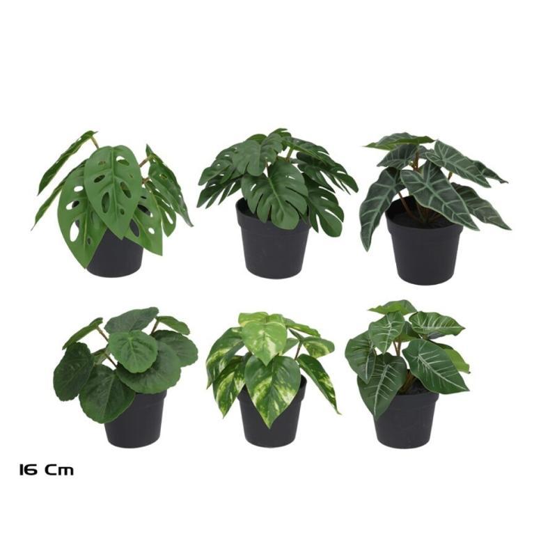 MACETA HOJAS X9 - 16 CM