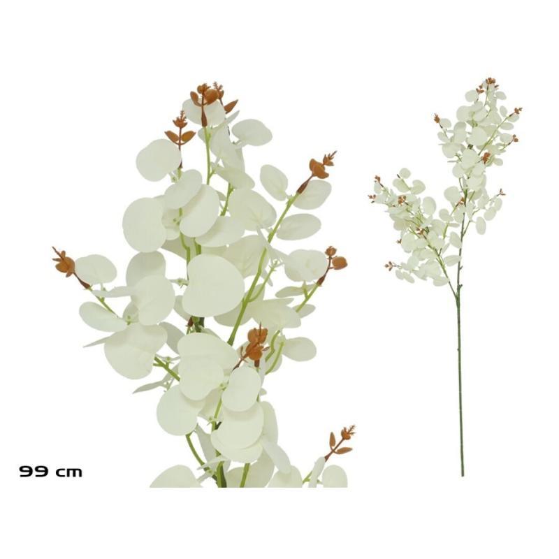 VARA EUCALIPTO X 160 - 99 CM BLANCO